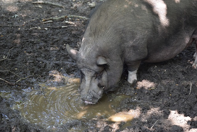 的整体化学 的整体化学