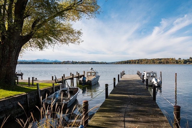 在这个足球 在这个足球