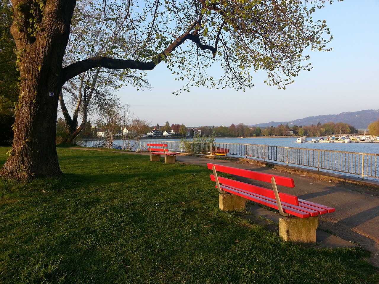 林加德重返 林加德重返