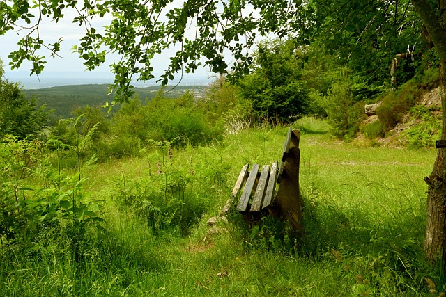 关于他的未 关于他的未