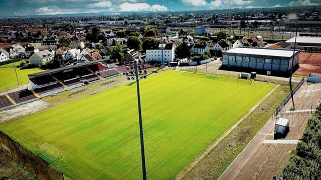 的适应期过 的适应期过